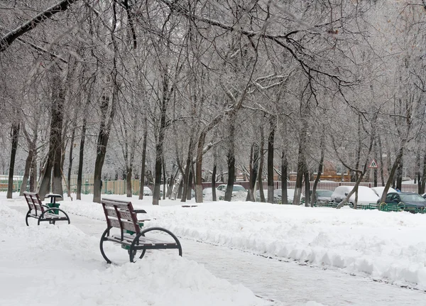 frozen benches in the winter park