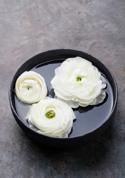 White floating ranunculus flowers. Spa wellness background ロイヤリティフリーのストック画像