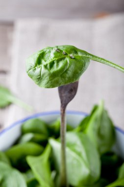 Bebek mavi bir seramik kase ıspanak