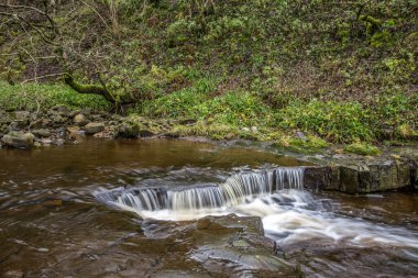 Kübria 'da Alston yakınlarındaki Ash Gill, Lake District Ulusal Parkı' na yakın olağanüstü bir doğal güzellikte yer almaktadır.