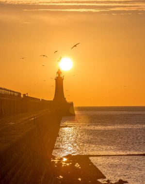 Tynemouth İskelesi ve Deniz feneri Güzel, canlı bir gündoğumuyla