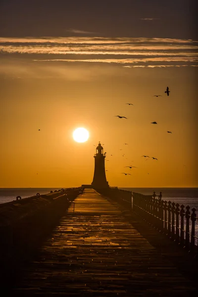Tynemouth İskelesi ve Deniz feneri Güzel, canlı bir gündoğumuyla