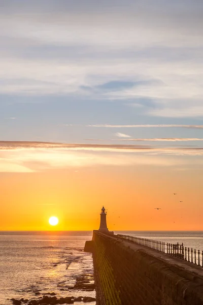Tynemouth Skelesi Deniz Feneri Güzel Canlı Bir Gündoğumuyla — Stok fotoğraf