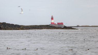 Northumberland 'daki Outer Farne Adaları' ndaki kırmızı-beyaz deniz feneri Grace Darling 'in kazazedeleri kurtarmasıyla meşhur oldu.