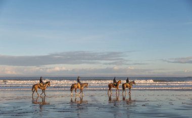 Kuzey Denizi 'ndeki Adam Nicol' un bahçesinden gelen yarış atları sabah erken saatlerde karla kaplı Bamburgh plajında Northumberland, İngiltere 'deki Farne Adaları' nda yaptıkları tatbikattan sonra serinliyor..