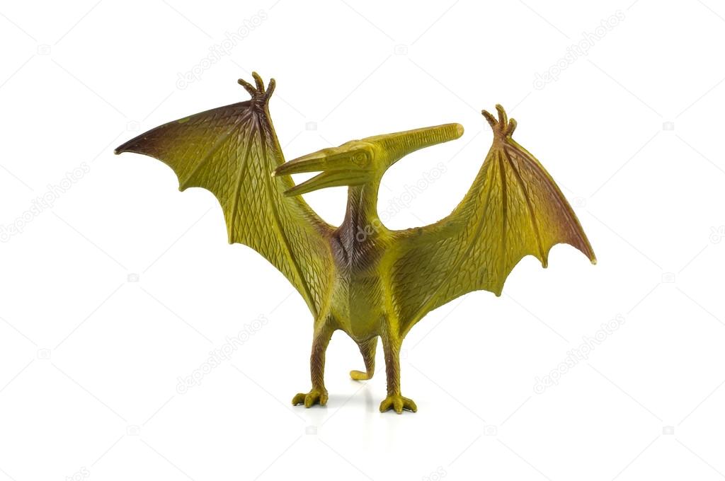 Pterosaur dinosaur toy isolated on white
