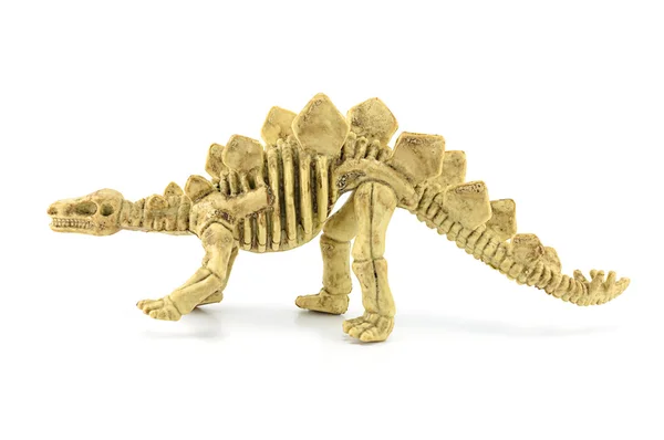 Stegosaurus brinquedo esqueleto fóssil isolado em branco — Fotografia de Stock