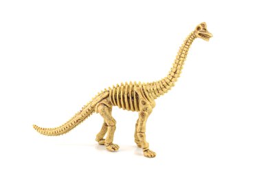 Beyaz izole Apatosaurus fosil iskelet oyuncak.
