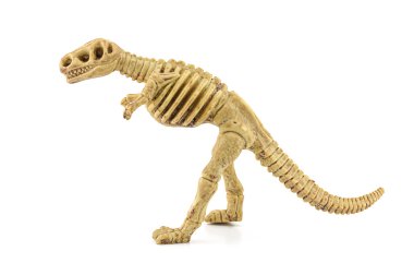 Beyaz izole tyrannosaurus rex fosil iskelet oyuncak.