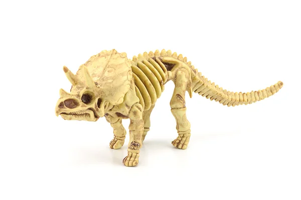 Triceratops fosilní kostry modelu hračka. — Stock fotografie