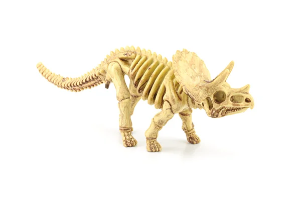 Triceratops fosil iskelet modeli oyuncak. — Stok fotoğraf