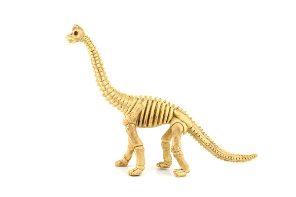 Игрушка из ископаемого скелета апатозавра, изолированная на белом . — стоковое фото