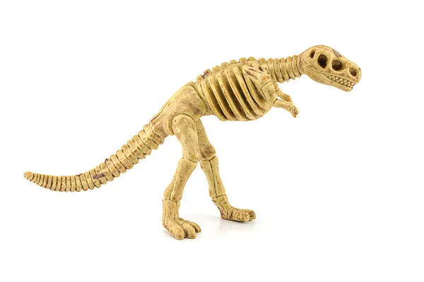 Tyrannosaurus rex esqueleto fóssil brinquedo isolado em branco . — Fotografia de Stock