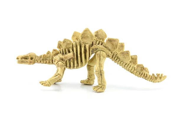 Stegosaurus brinquedo esqueleto fóssil isolado em branco — Fotografia de Stock