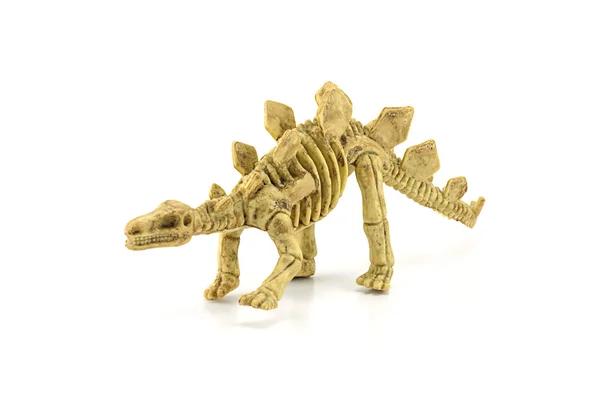 Stegosaurus brinquedo esqueleto fóssil isolado em branco — Fotografia de Stock