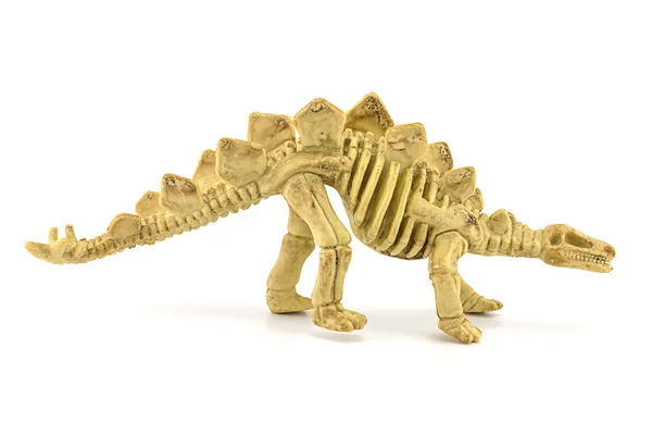 Stegosaurus 화석 뼈대 장난감 흰색 절연 — 스톡 사진