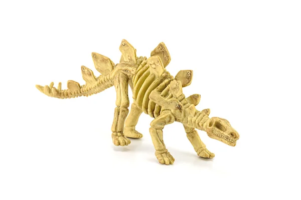 Stegosaurus fossil skeleton toy isolated on white — Stock Photo, Image