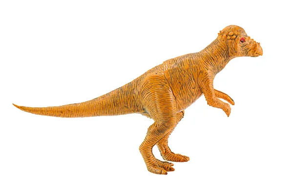 Modelo de brinquedo figura dinossauro paquicefalossauro isolado em branco . — Fotografia de Stock