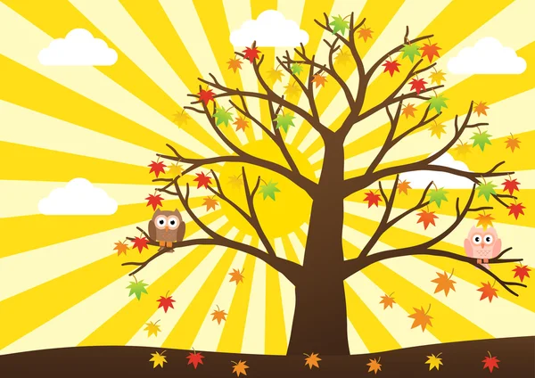 Owls on tree in autumn season and maple leaf fall with sun ray i — Stock Vector