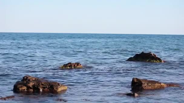 Камені в блакитній морській воді — стокове відео