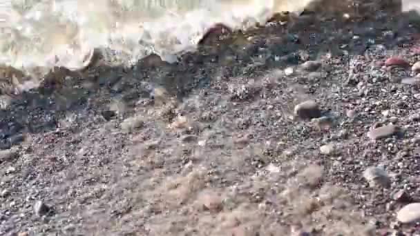 Olas marinas en la orilla del Mar Negro — Vídeo de stock