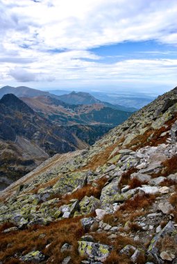 Swinica Polonya dağlarda
