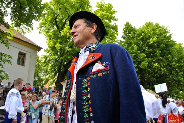 Man in folk kostuum tijdens "de rit van koning" in 2015 in Zuid-Moravië, ceremoniële processie — Stockfoto