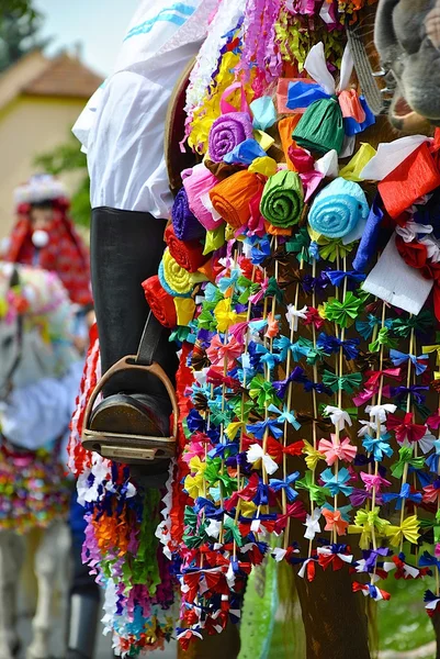 Colorful folk decoration on horses during "The Ride of King" in south Moravia — Stock Photo, Image