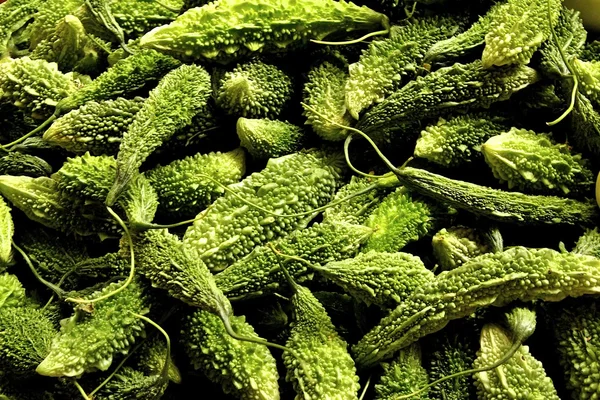 Acı kavun yığını