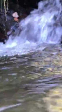 Vahşi Dağ Nehri, Berrak Nehir 'i kapatın. Taştan kayaların aktığı Gevezelik Deresi 'nin detaylı görüntüsü. Swift Sulama Suyu 'nda Rock Rapid. Ukrayna, Karpatya