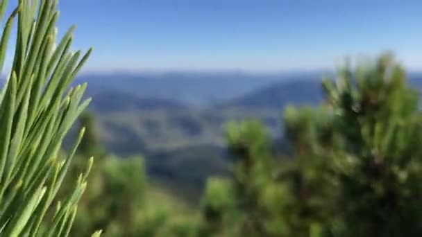 山の空中ショット ピーク 緑の草 栽培されていない自然 スローモーションビデオ — ストック動画