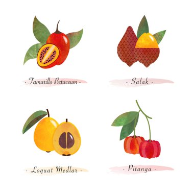 Organik doğa sağlıklı yiyecek tamarillo betaceum the loquat medlar pitanga