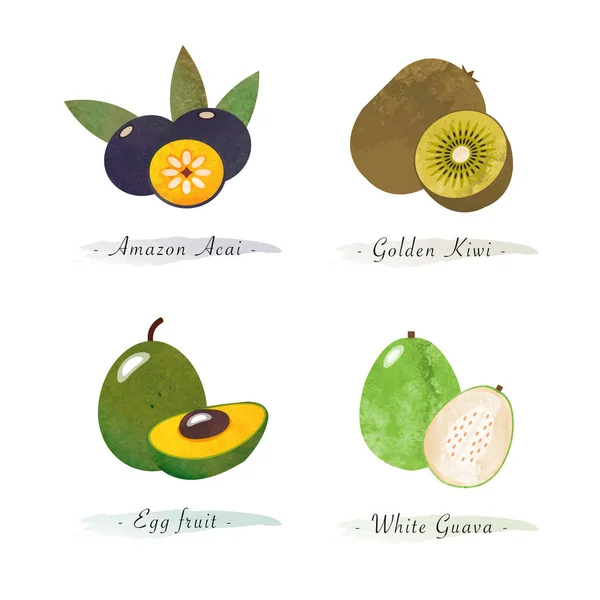 Naturaleza Ecológica Comida Saludable Fruta Amazona Acai Kiwi Dorado Fruta — Vector de stock