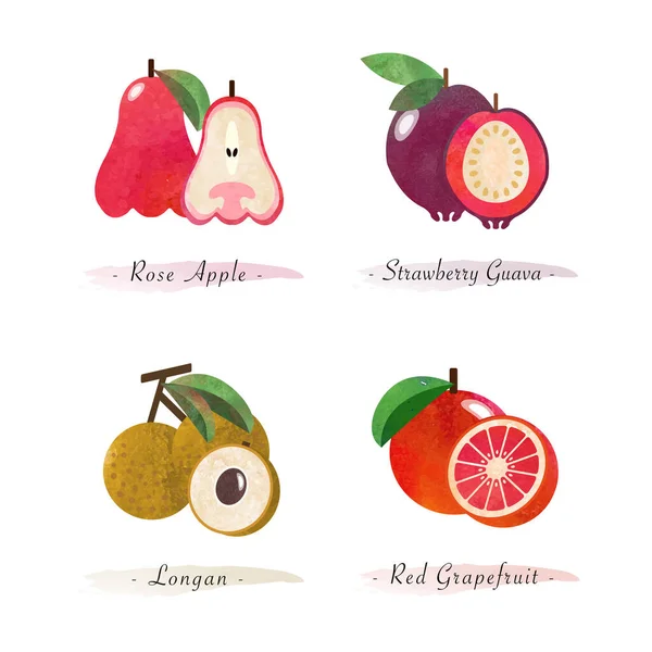 Biologische Natuur Gezond Voedsel Fruit Roos Appel Aardbei Guava Longan — Stockvector