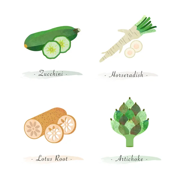 Aquarelle Nature Saine Végétal Bio Légume Ingrédient Alimentaire Courgettes Raifort — Image vectorielle