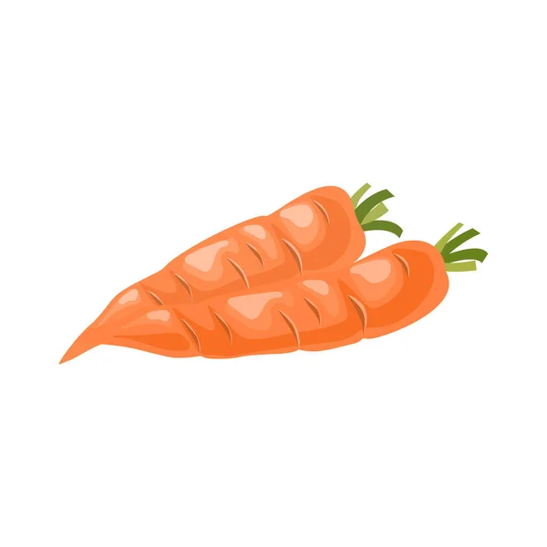 Ilustrasi Vektor Kartun Objek Terisolasi Wortel Sayuran - Stok Vektor
