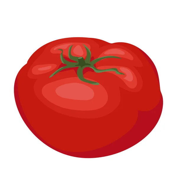 Dibujos Animados Vector Ilustración Objeto Aislado Alimentos Frescos Tomate Vegetal — Archivo Imágenes Vectoriales