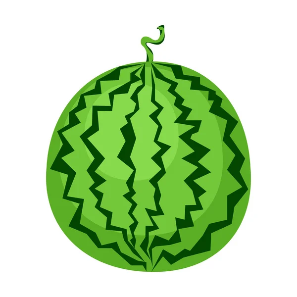 Tecknad Vektor Illustration Isolerat Objekt Färska Livsmedel Frukt Vattenmelon — Stock vektor