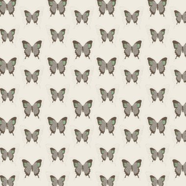 Background of butterfly patterns