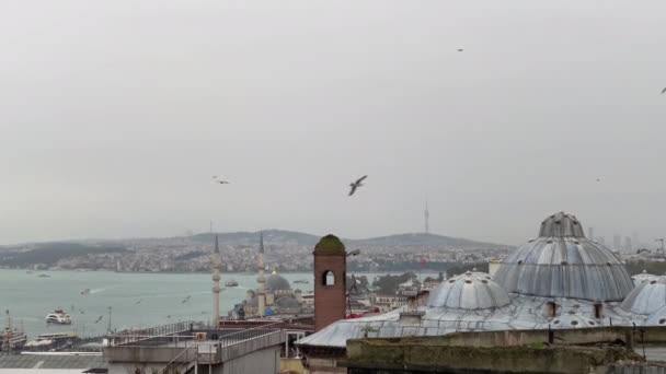 Panorama Istambul Vista Sobre Bosphorus Golfo Suleymaniye Mesquita Nublado Nevoeiro — Vídeo de Stock