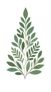 Eko Noel Ağaçları Botanik Yeşillik Tatil Çizimi