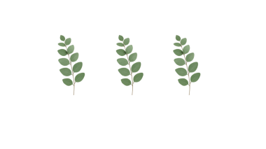 Minimalist Yeşil Yaprak Sınırı - Zeytin Dalı Çerçeve Arkaplanı