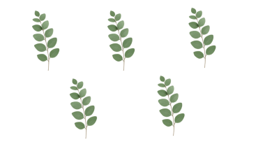 Minimalist Yeşil Yaprak Sınırı - Zeytin Dalı Çerçeve Arkaplanı