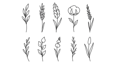 Minimalist Botanik Çizgi Sanatı: Narin El Çizimi Çiçek ve Yaprak Elementleri Koleksiyonu