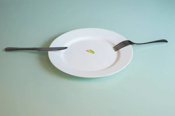 Um pedaço de comida está na mesa em um prato grande. — Fotografia de Stock