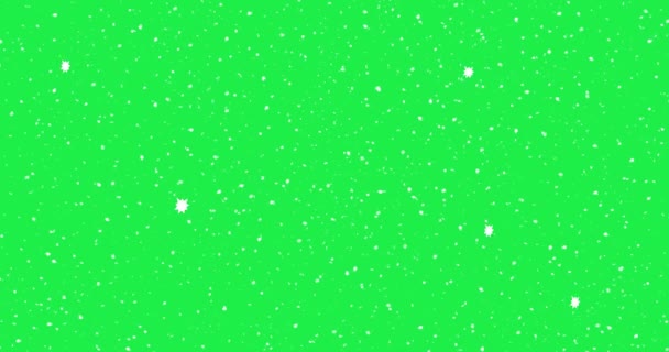 Estrellas Brillan Fondo Efecto Animación Pantalla Verde Decoración Navidad — Vídeo de stock