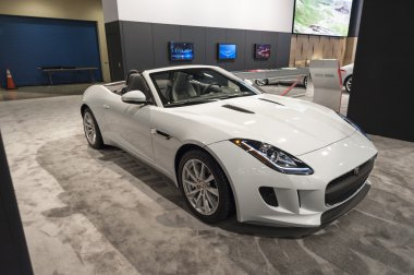 Miami Uluslararası Otomobil Fuarı 2015