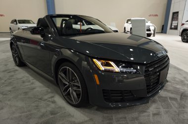 Miami Uluslararası Otomobil Fuarı