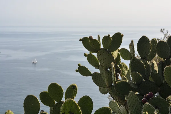 Exploring the French Riviera in Nice Stock Picture