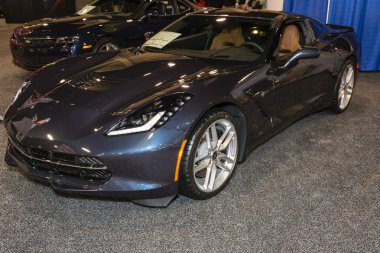 Charlotte Uluslararası Otomobil Fuarı 2014